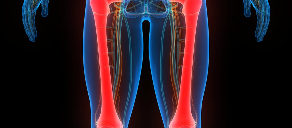 Le fémur : tout savoir sur l’os le plus solide du corps humain Le fémur : tout savoir sur l'os le plus solide du corps humain