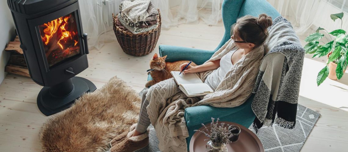 Poêle à bois : quels dangers ?  Comment prévenir les risques ? Poêle à bois : quels dangers ?  Comment prévenir les risques ?